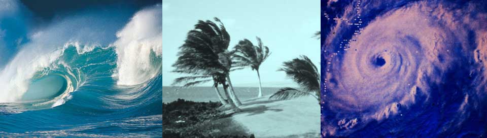 three images coaps