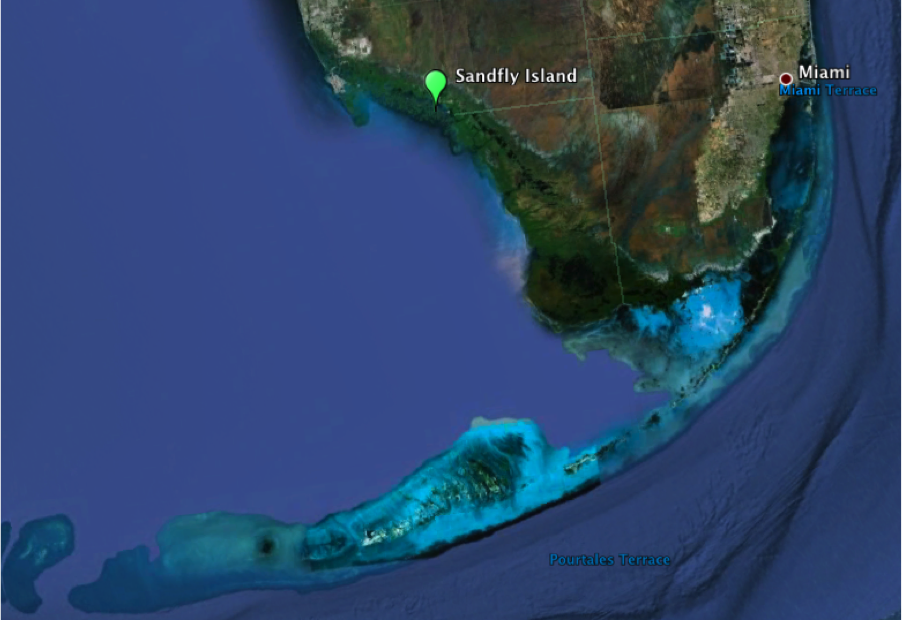 Everglades Case Study - Map displaying location of Sandfly Key (marked Sandfly Island)