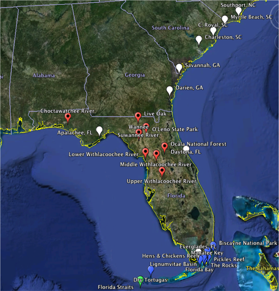 Everglades Temperature