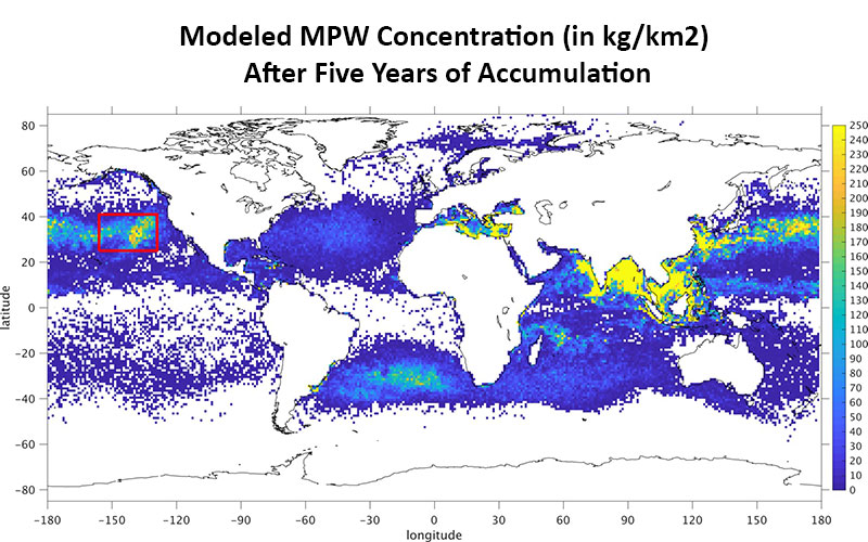 MPW Concentration